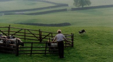 OE-18198 Shepherd.mov_h264.mov.01_00_18_19.Still003-min